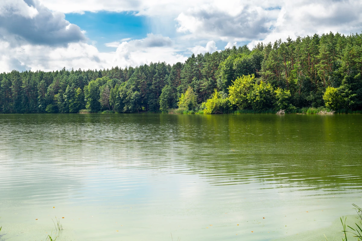 pojezierze wałeckie jezioro